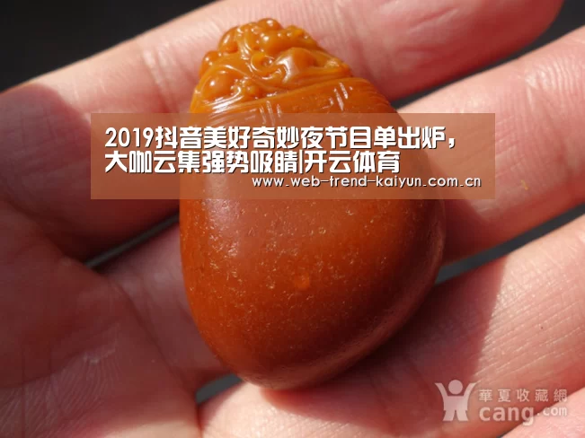 开云体育