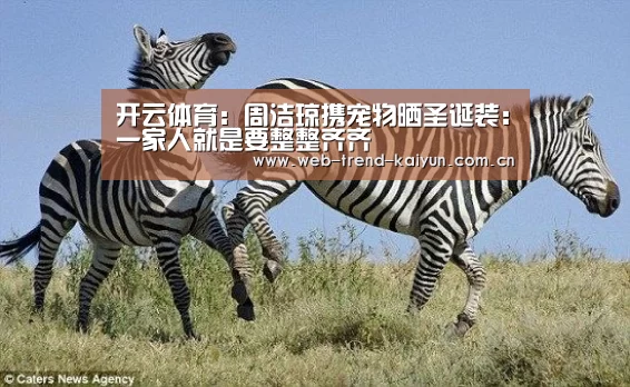 开云体育