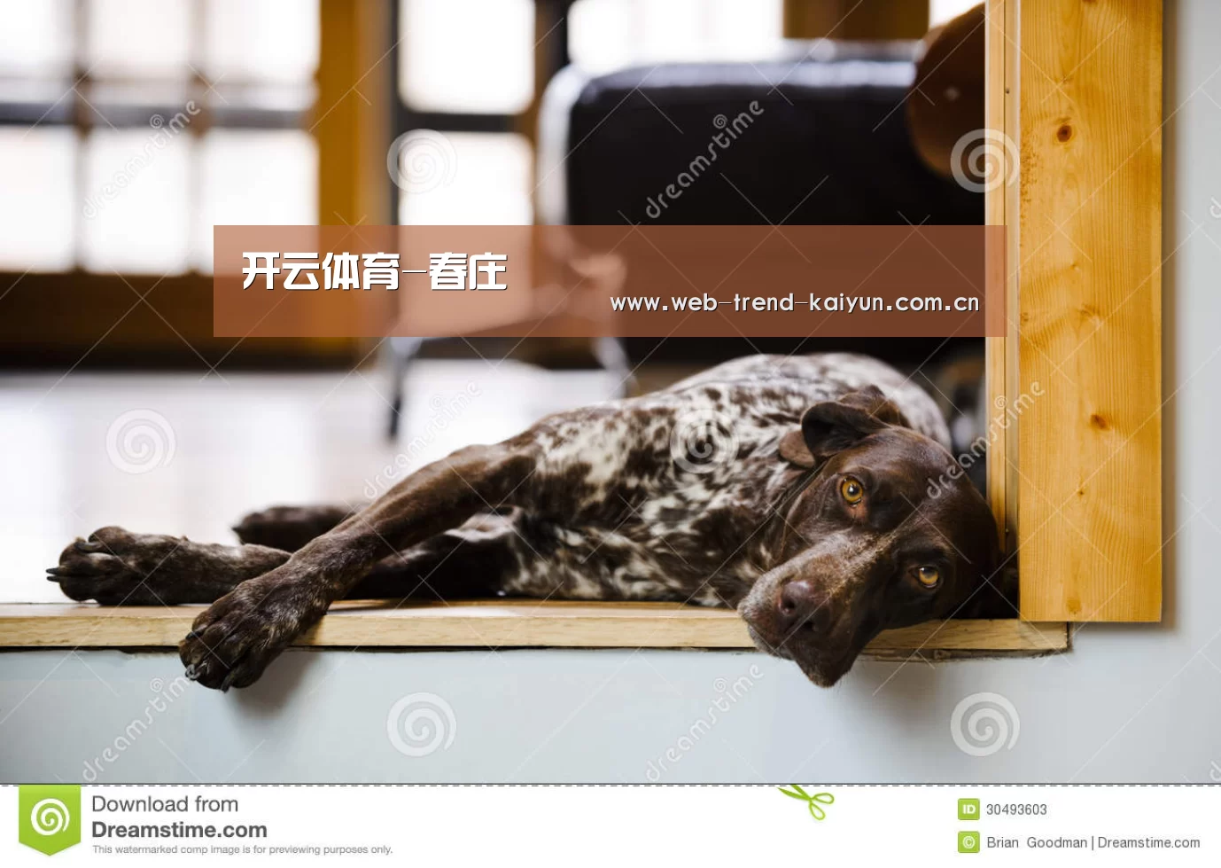 开云体育